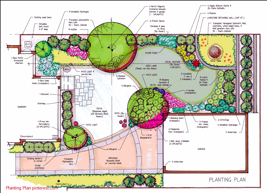 Landscape design planting plan